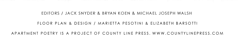 EDITORS / JACK SNYDER & BRYAN KOEN & MICHAEL JOSEPH WALSH FLOOR PLAN & DESIGN / MARIETTA PESOTINI & ELIZABETH BARSOTTI APARTMENT POETRY IS A PROJECT OF COUNTY LINE PRESS. WWW.COUNTYLINEPRESS.COM
